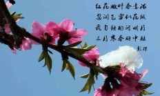 彭琛诗二首----《寒春雪》《游黄果树》
