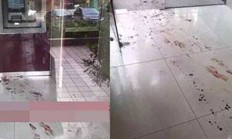 ATM前割喉抢钱闹得人心惶惶 警方辟谣：人还活着未死