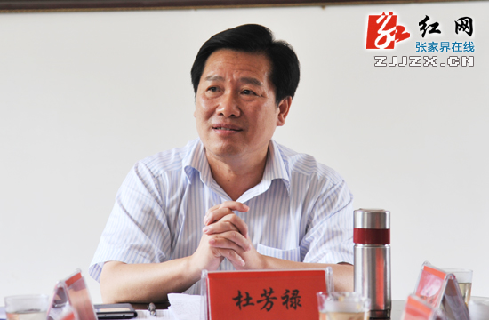 【群众路线】杜芳禄指导桑植县瑞塔铺镇火盆峪村专题组织生活会
