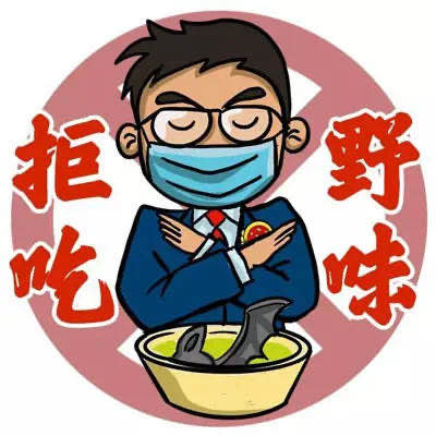 5555.jpg